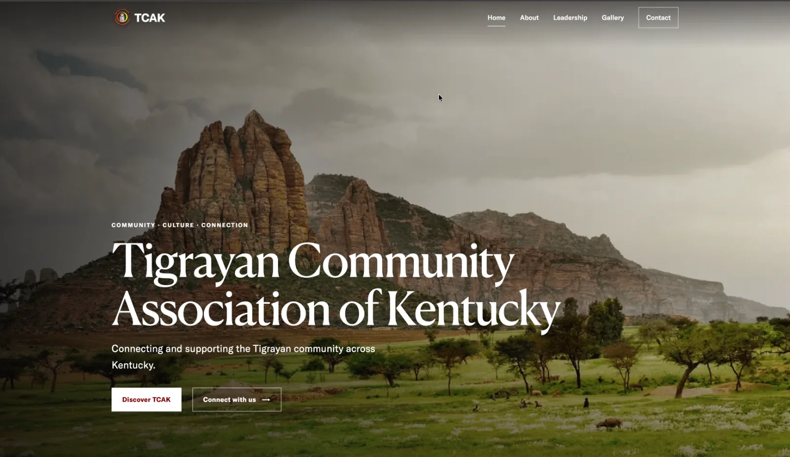 Tigrayan Community Association of Kentucky donation site